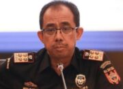 Bea Cukai Berikan Sanksi Kepada 216 Eksportir, Total Senilai Rp53 Miliar&nbsp;