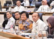 Raker Dengan Komisi IV DPR, Menteri LHK Paparkan Capaian Kinerja