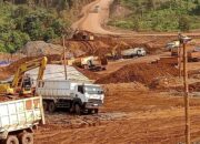 Pemerintah Diharap Segerakan Proses Telaah Hukum PT CLM