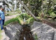 Petani Madina Menjerit Histeris Tanpa Suara