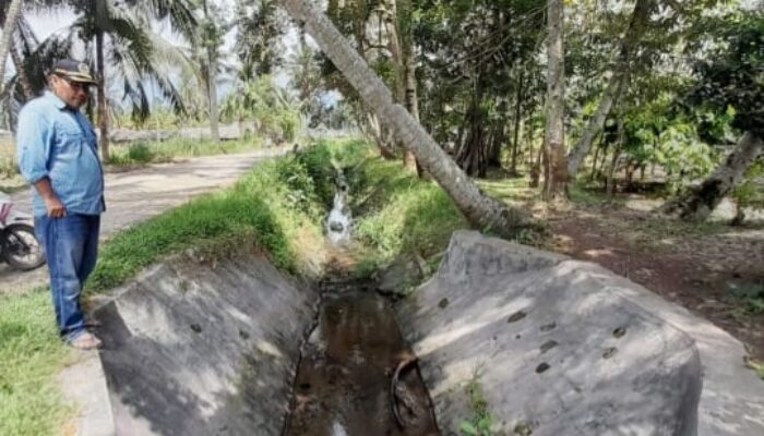 Petani Madina Menjerit Histeris Tanpa Suara