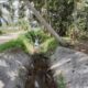 Petani Madina Menjerit Histeris Tanpa Suara
