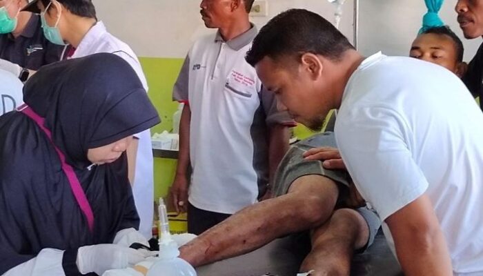 Lagi, 3 Petani Diserang Harimau Di Aceh Selatan, 2 Kritis