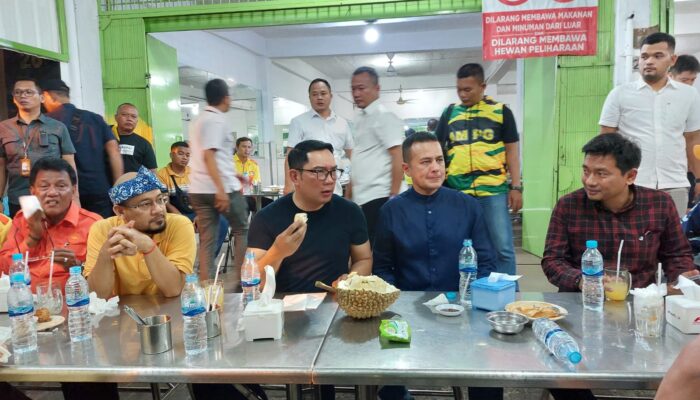 Ridwan Kamil Sebut Ijeck Jadi Gubernur Sumut Tinggal Garis Tangan