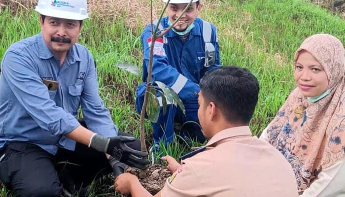 Medco Gandeng Siswa Tanam Pohon Unggulan