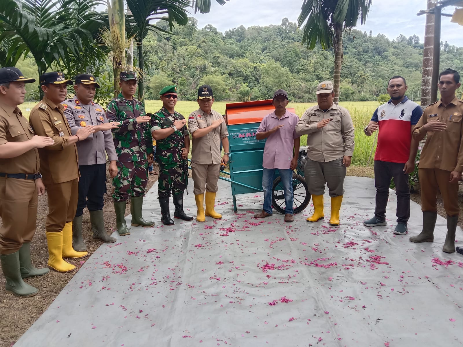Kadis Pertanian: Tahun Ini Simeulue Surplus Gabah Dan Beras