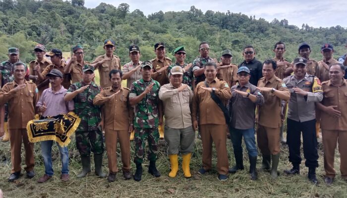 Kadis Pertanian: Tahun Ini Simeulue Surplus Gabah Dan Beras