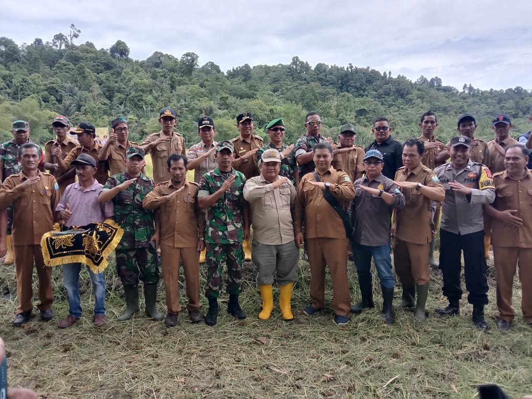 Kadis Pertanian: Tahun Ini Simeulue Surplus Gabah Dan Beras