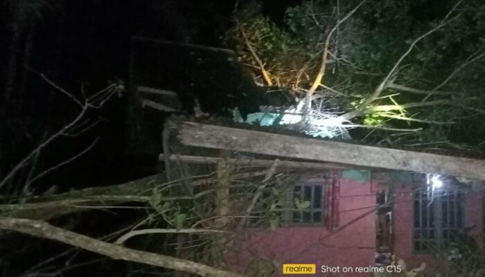 Rumah Warga Rusak Tertimpa Pohon Di Aceh Timur
