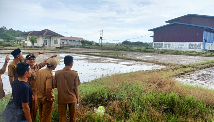 Kuras Uang Daerah Rp7,7 Miliar, Kilang Padi Modern Abdya Tak Berfungsi