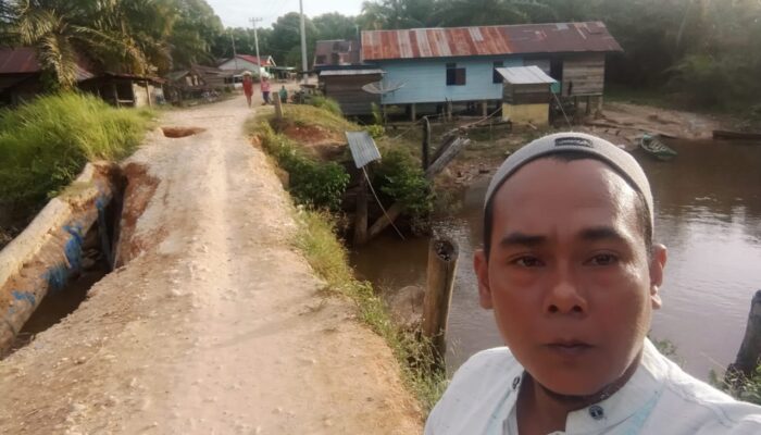 Jembatan Amblas, Petani Situban Makmur Kesulitan Angkut TBS