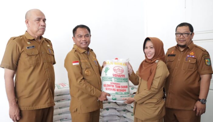 Dukung Petani Lokal, Bupati Sergai Dorong ASN Konsumsi Beras Organik