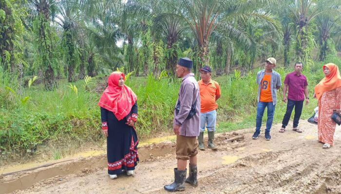 Warga Minta Nova Zahara Usul Aspal Jalan Di Kp. Sulum Tamiang