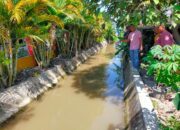 Dua Balita Tewas Hanyut Di Saluran Irigasi Percut Seituan