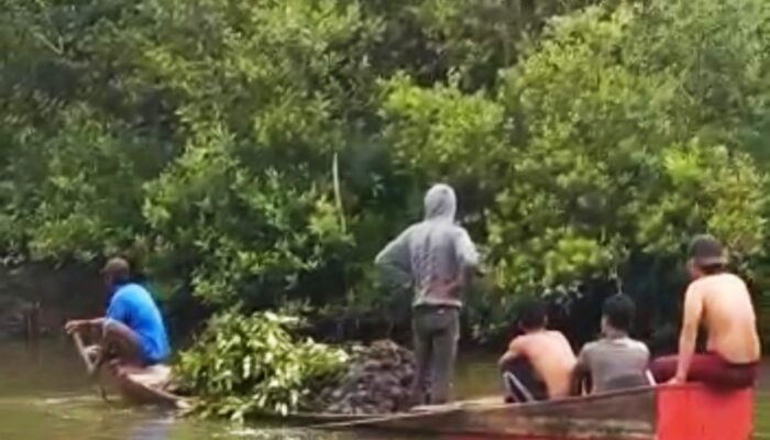 PKSM Bersama Masyarakat Bangun Jembatan, Tanam 4.000 Batang Mangrove Di Paloh Panglima Percut Sei Tuan