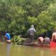Anggota kelompok tani dan PKSM sedang meninjau tanaman bakau di Paluh Buging, Kec Percut Sei Tuan, Deliserdang. Waspada/ist