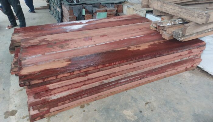 Berkas Perkara Dua Tersangka Illegal Logging Di TNGL Dinyatakan Lengkap