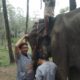 Dwiki, Gajah ANECC Simalungun Mati Karena Sakit
