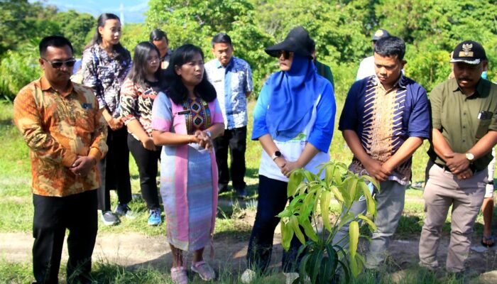 KSI Tanam Ratusan Pohon Mangga dan Nira di Desa Wisata Hutatinggi