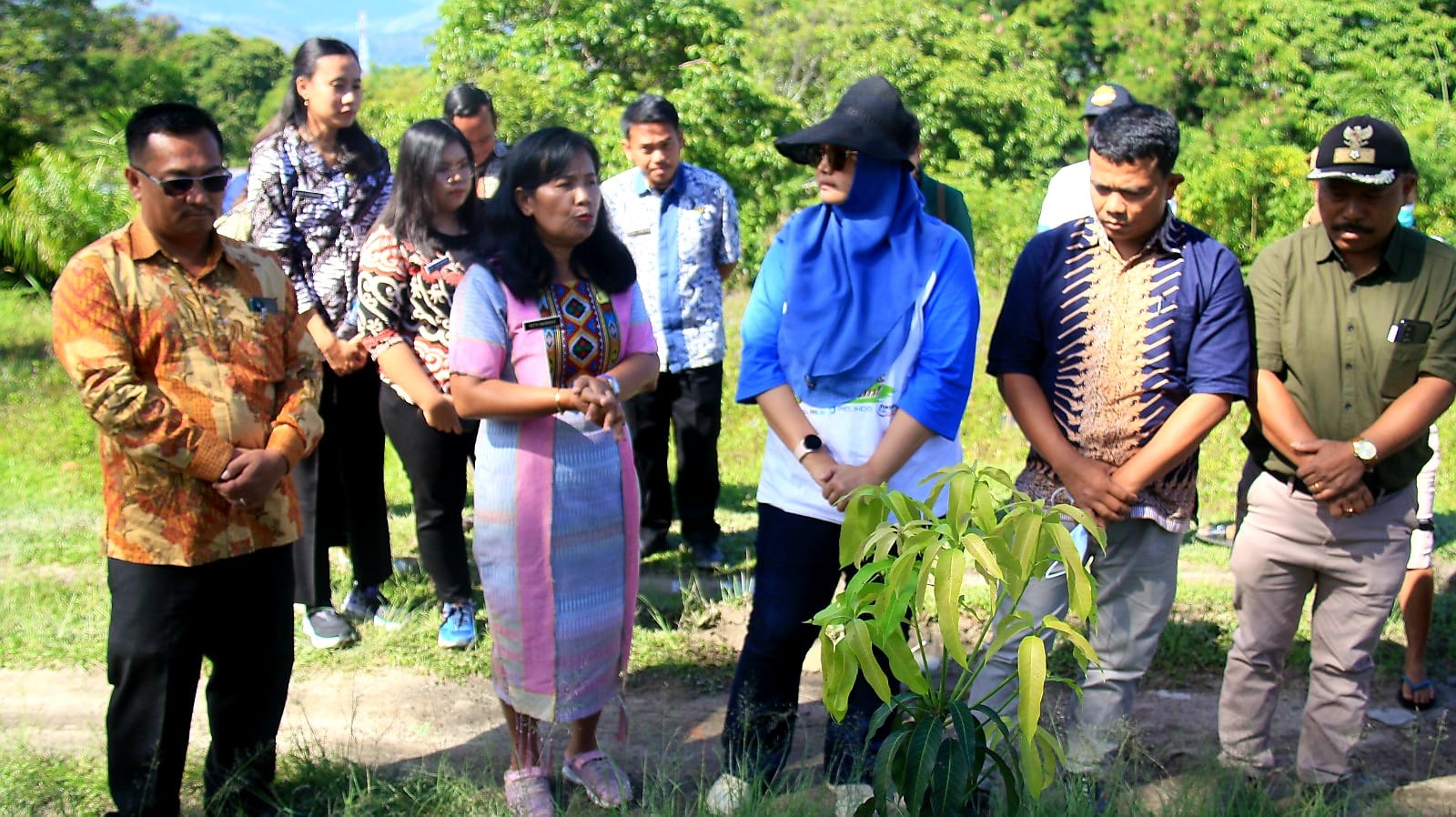 KSI Tanam Ratusan Pohon Mangga dan Nira di Desa Wisata Hutatinggi