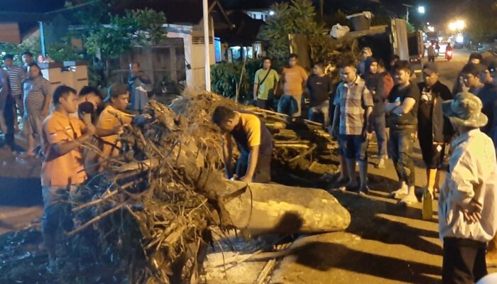 Usut Tuntas Penyebab Banjir Sidempuan