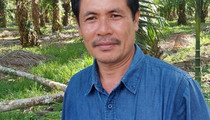 Apkasindo Aceh Akan Umumkan Harga TBS Dari Seluruh PKS, Termasuk Aceh Singkil