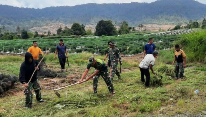 Korem 022/PT Berkolaborasi Manfaatkan Lahan Tidur