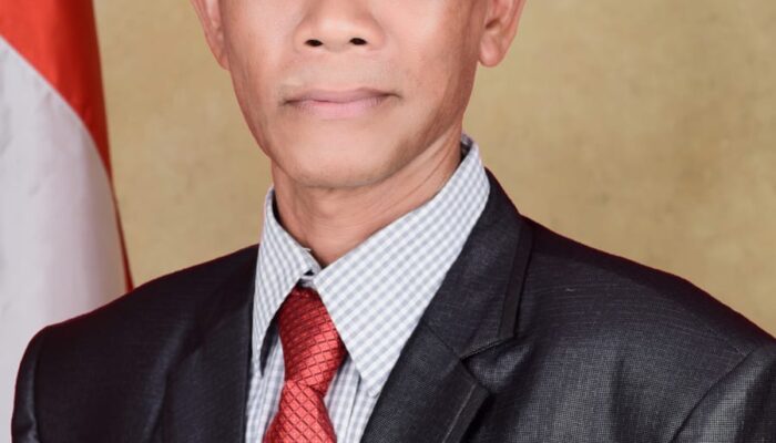 213 Honorer DOKA Simeulue Aman