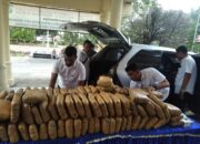 Polres Langkat Amankan 233 Kg Ganja Dan 1 Kg Sabu