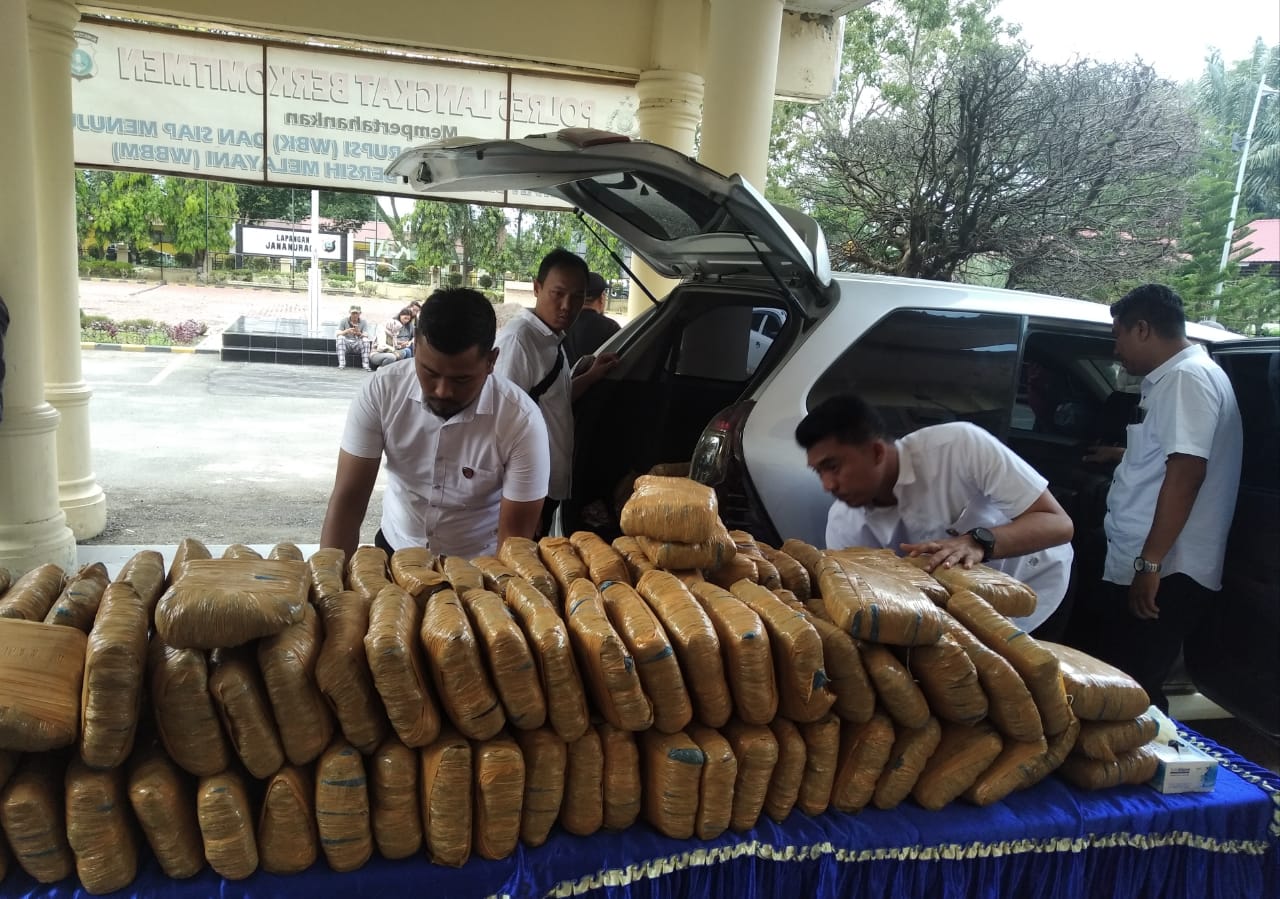 Polres Langkat Amankan 233 Kg Ganja Dan 1 Kg Sabu