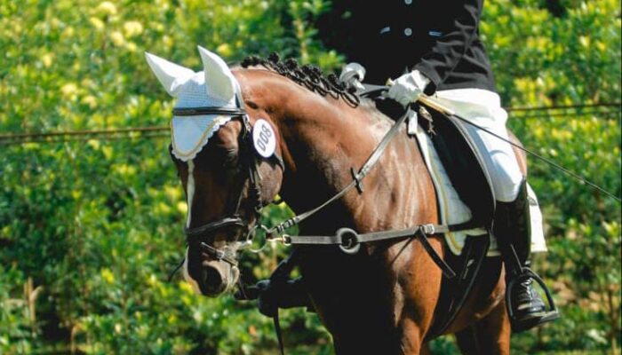 Salsabila Almira Lubis Juara Dressage Walk Trot U 21
