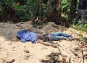 Seorang Pemuda Ditemukan Tewas Di Kebun Warga