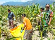 Di Agara, Enam Hari Hilang Ditemukan Sudah Menjadi Mayat