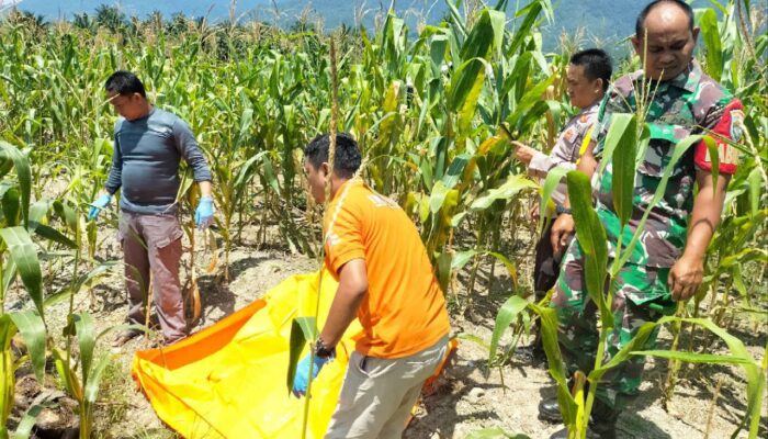 Di Agara, Enam Hari Hilang Ditemukan Sudah Menjadi Mayat