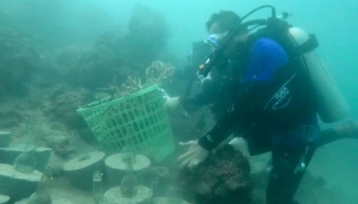 Pj Wali Kota Sabang Kampanyekan Pelestarian Terumbu Karang