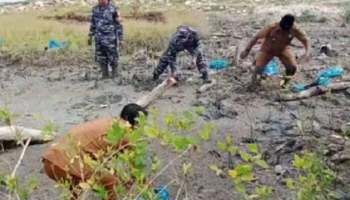 Desa Bandar Rahmat Bersama TNI AL Gerakkan Tanam Mangrove