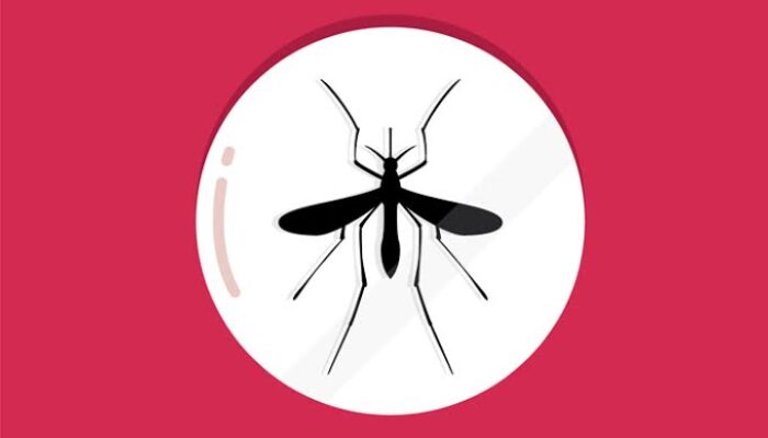 Musim Pancaroba, Dinkes Ingatkan Potensi Penyakit DBD Mengintai