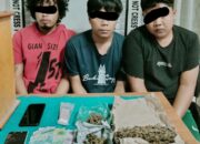 Miliki Dan Jual Ganja, Polres P.Siantar Ringkus 4 Pria