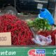 Harga cabai merah di akhir pekan kemarin yang turun di kisaran 30 ribuan per Kg, pada hari ini masih tidak jauh berbeda dari akhir pekan sebelumnya di kisaran harga 28 hingga 30 ribu per Kg.