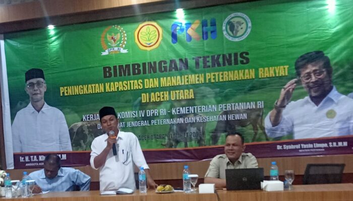 Sapi Aceh Unggul Dan Layak Dikembangkan