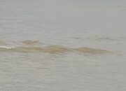 Polairud Tangkap Kapal Sibolga Diduga Pembom Ikan Di Aceh Singkil