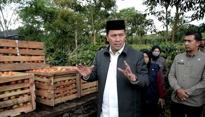 Pj. Bupati Bener Meriah Cek Keberhasilan Petani Setelah Terima Bantuan