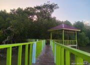 Mangrove Asahan Bagai Kilau “Mutiara Dalam Kerang”