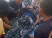 Lagi, Warga Simeulue Meninggal Dunia Jatuh Saat Panen Cengkeh