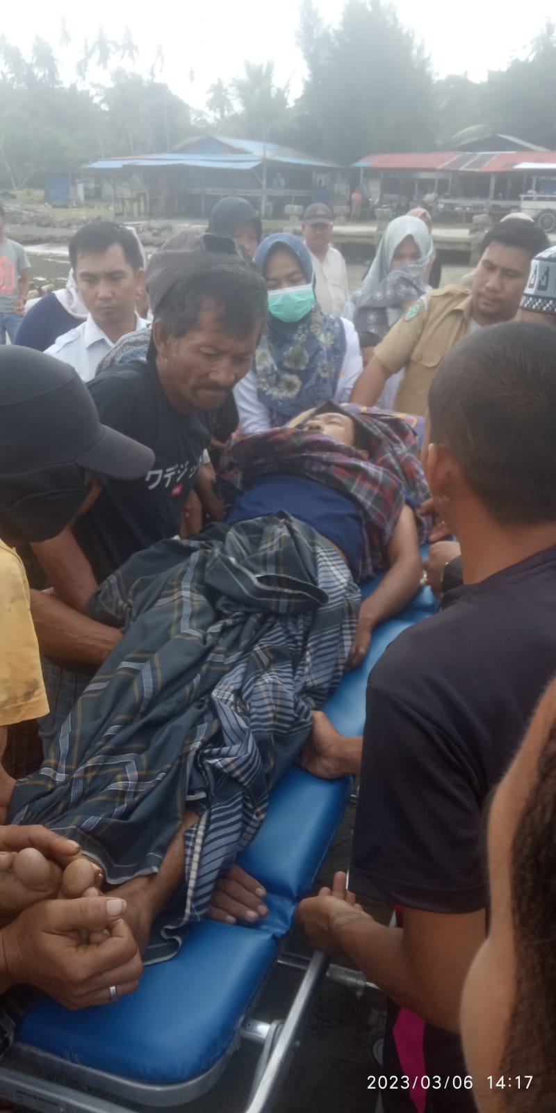 Lagi, Warga Simeulue Meninggal Dunia Jatuh Saat Panen Cengkeh
