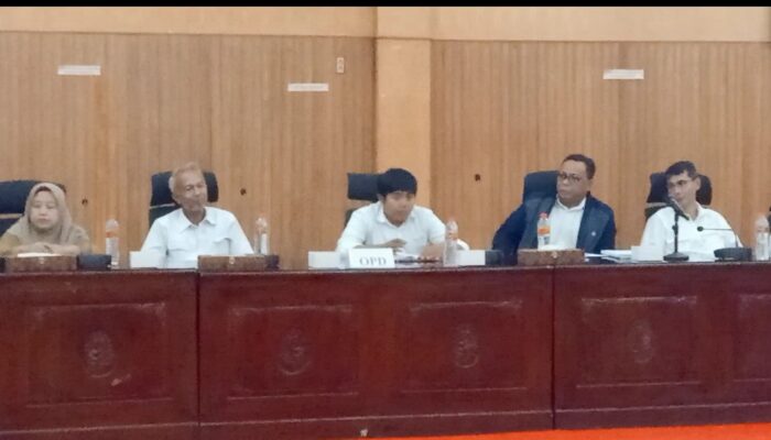 Rencana Reklamasi PT.MNA Masih Proses, Iklim Investasi Harus Kondusif