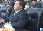 Soal PAD Rendah, Anggota DPRK Agara Curigai Permainan OPD