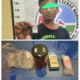 Sat Narkoba Polres Toba Tangkap Pengedar Narkoba