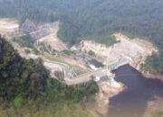 PLTA Batangtoru Hadir, Konservasi Dan Ekosistem Alam Tetap Terjaga