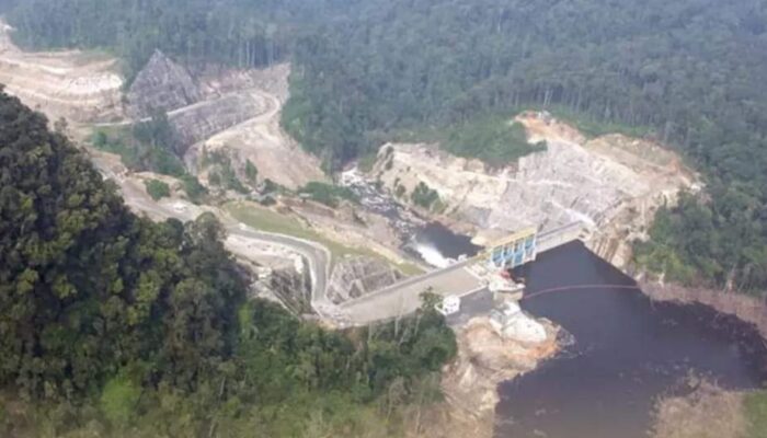 PLTA Batangtoru Hadir, Konservasi Dan Ekosistem Alam Tetap Terjaga